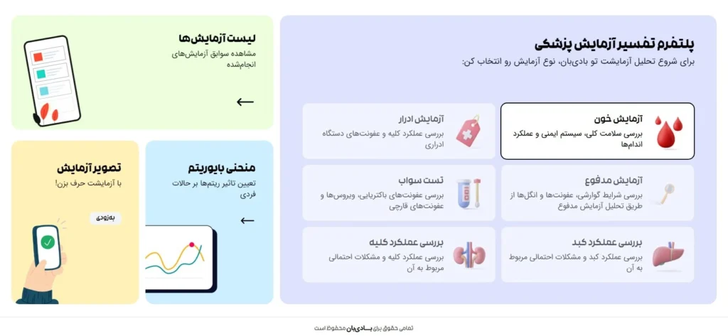 نمودار بایوریتم یا بیوریتم در داشبورد سلامت دیجیتال بادی بان 