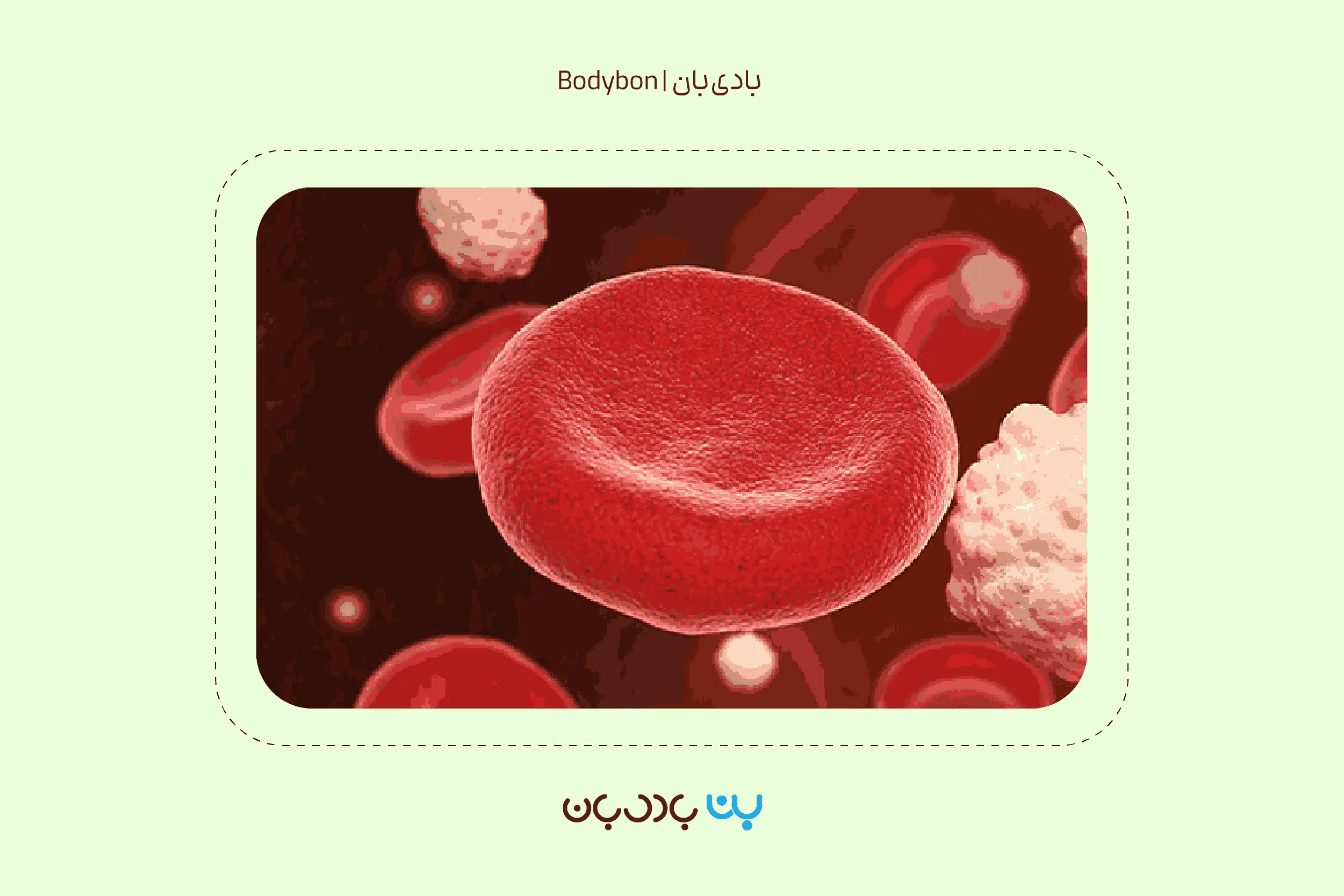 تفسیر آزمایش رنین؛ راهکار کلیدی تشخیص فشار خون و مشکلات کلیه 1 کاربرد تفسیر آزمایش رنین در شناسایی اختلالات فشار خون، الکترولیتها و عملکرد کلیهها