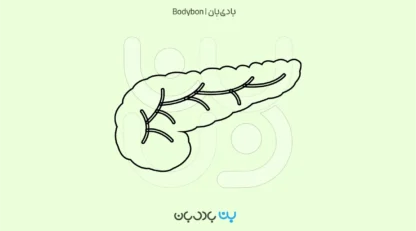 تفسیر آزمایش آمیلاز و لیپاز؛ کلید اختلالات پانکراس و گوارش