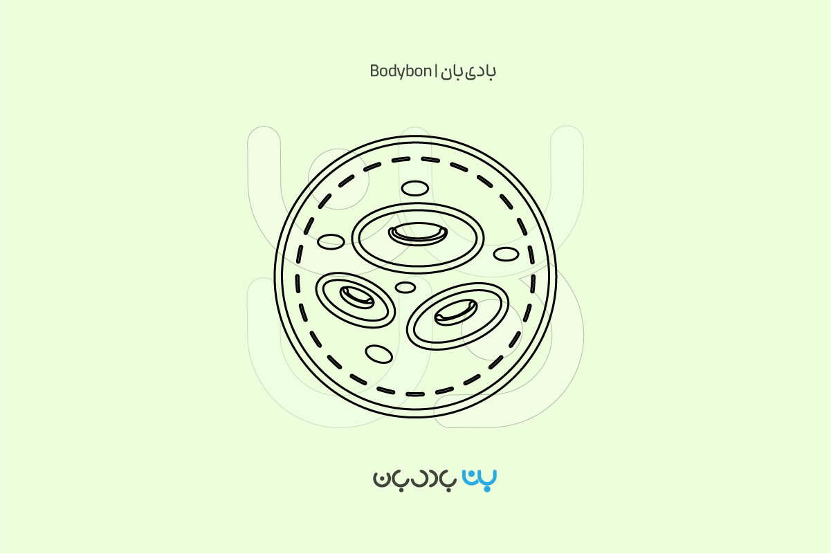 همه چیز درباره تفسیر آزمایش کم خونی یا تست کم‌ خونی