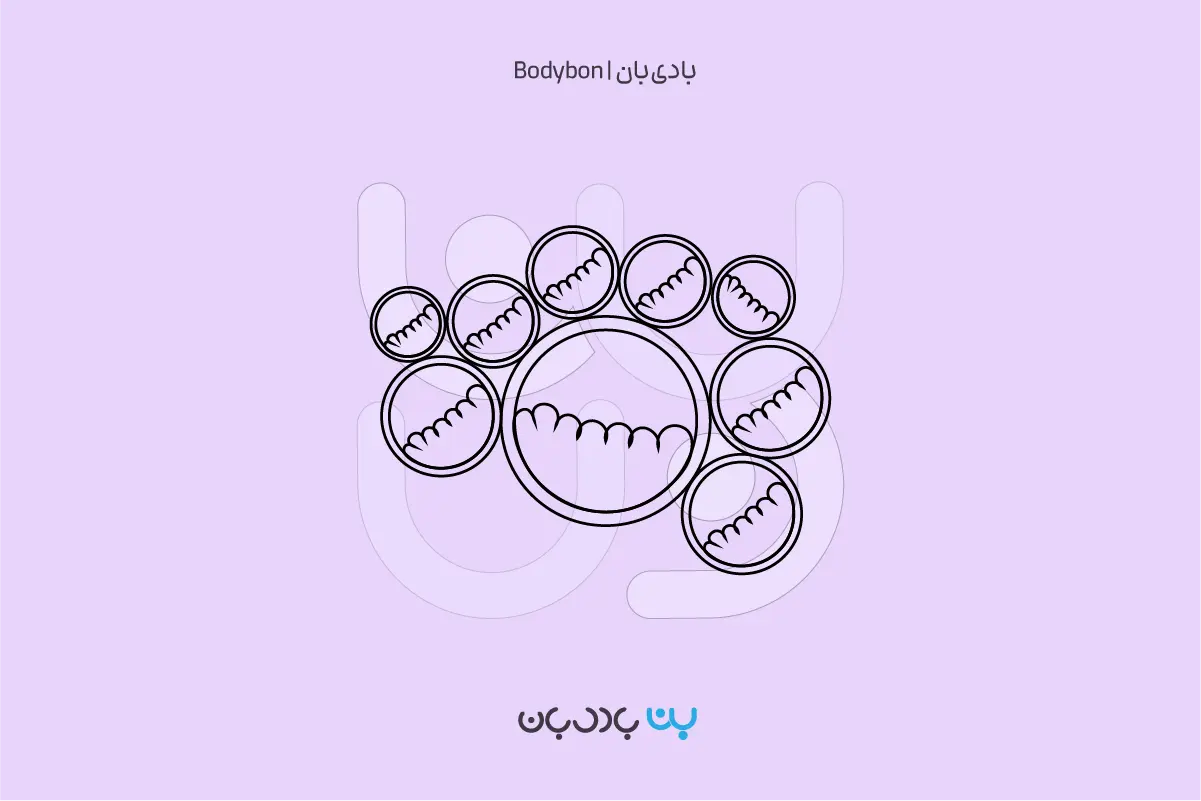 همه چیز درباره آزمایش چربی خون یا پنل لیپید