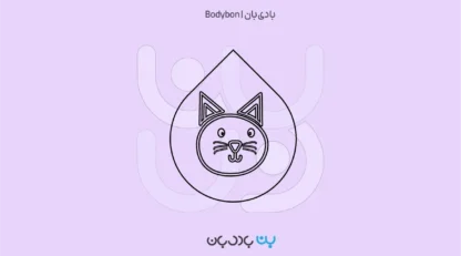 آزمایش خون گربه؛ چکاپ مهم برای تشخیص زودهنگام بیماریها